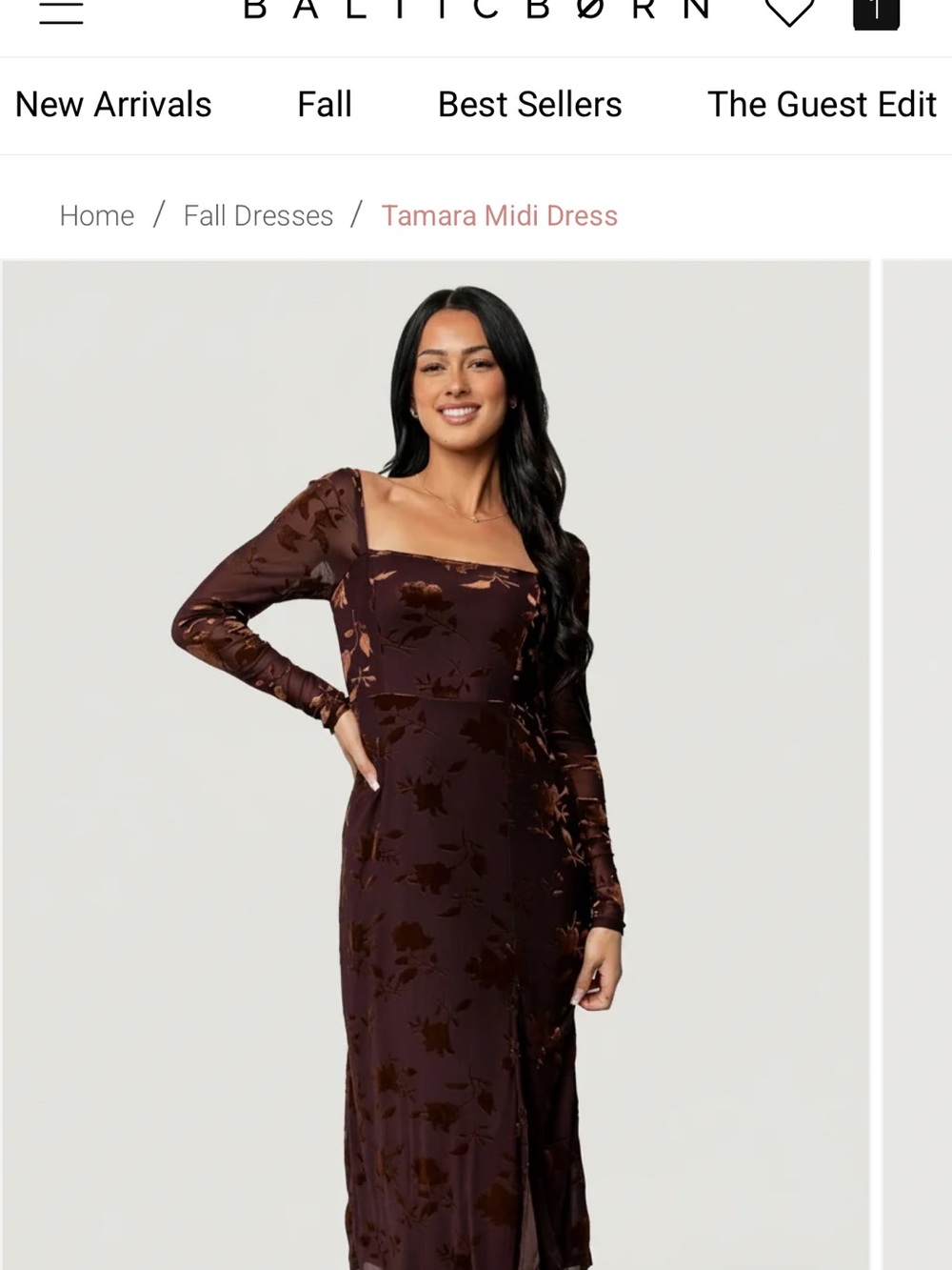NEVER WORN Baltic Born Tamara Midi Dress — Dark Brown Floral Velvet